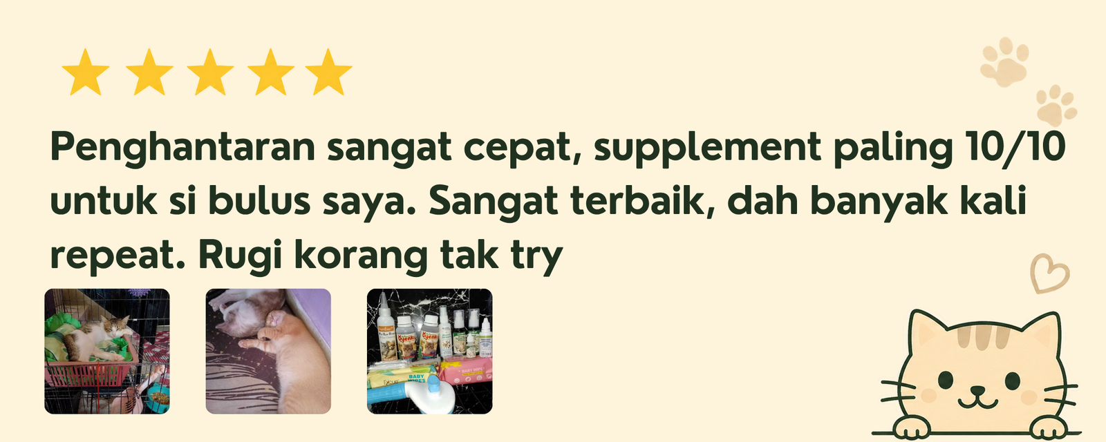 Review 1
